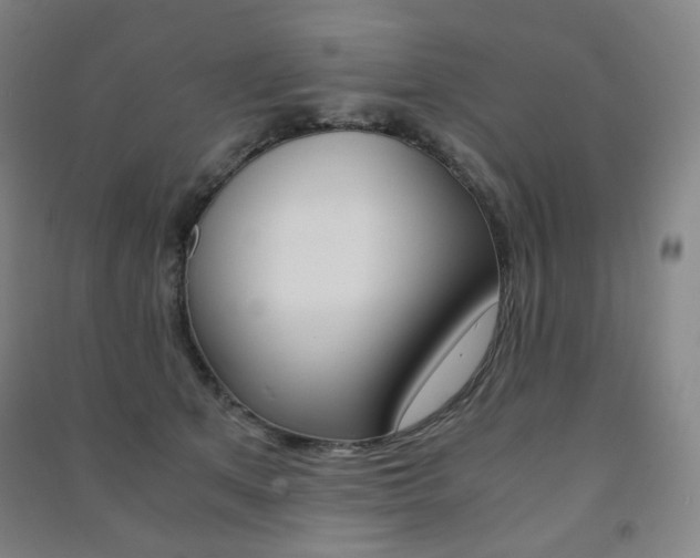 X0000091500513200708161237