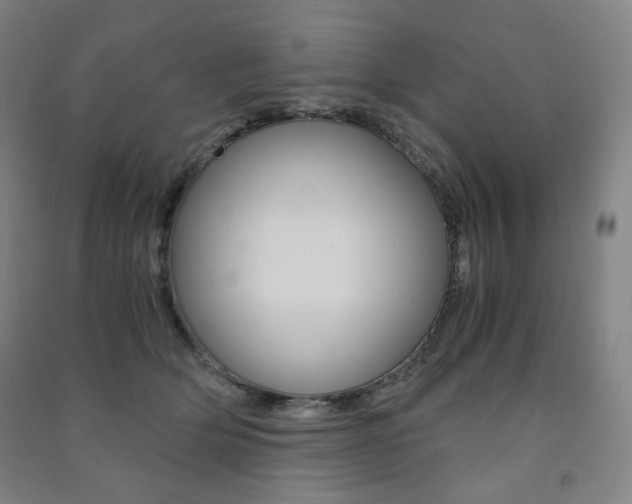 X0000091500514200708161237