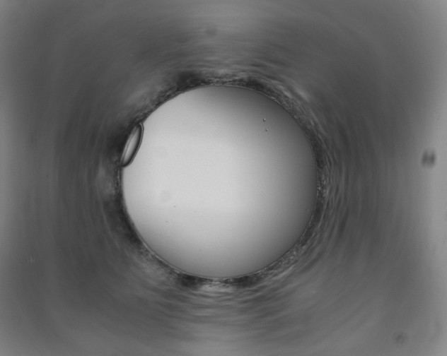 X0000091500515200708161236