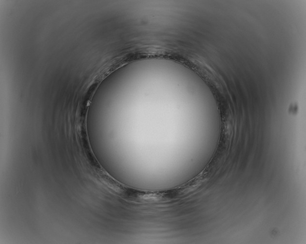 X0000091500516200708161236