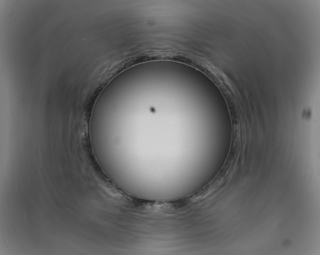 X0000091500517200708161236