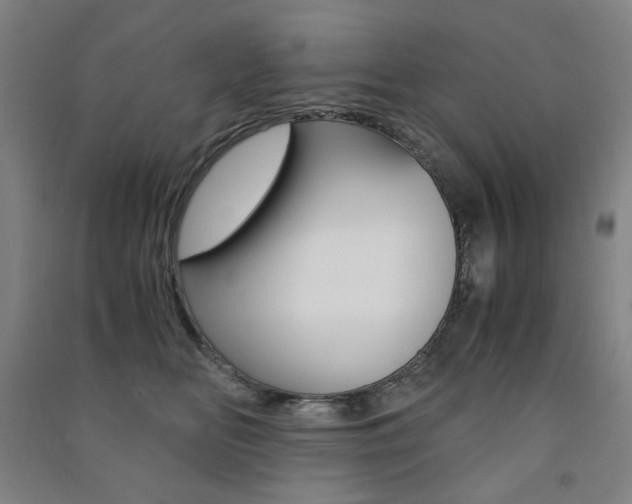 X0000091500518200708161236