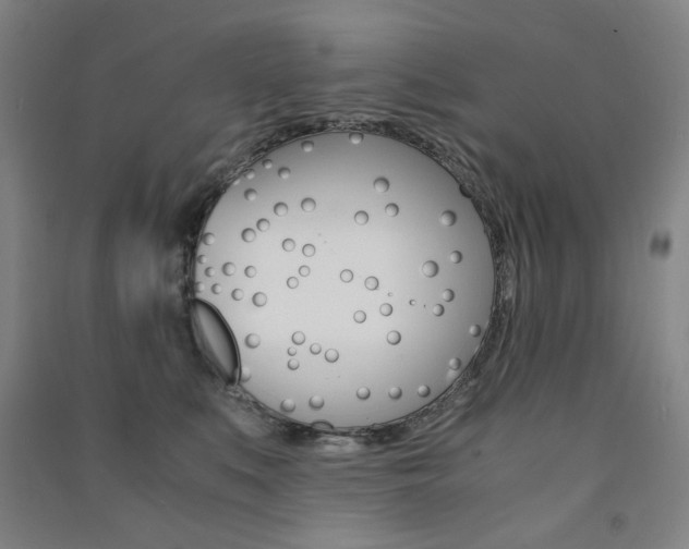 X0000091500519200708161236
