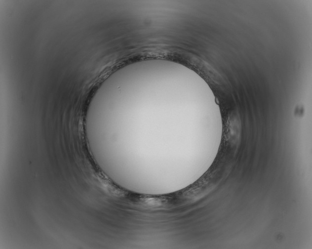 X0000091500522200708161236