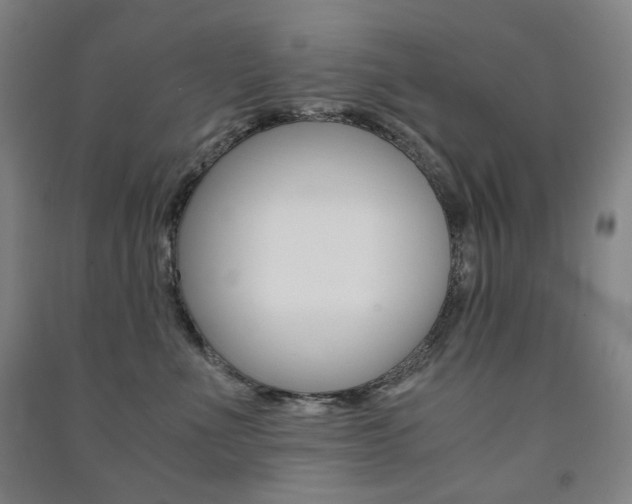 X0000091500523200708161236