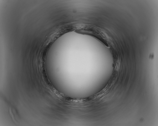 X0000091500524200708161236