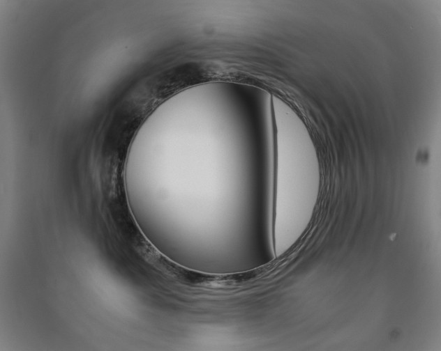 X0000091500525200708161236