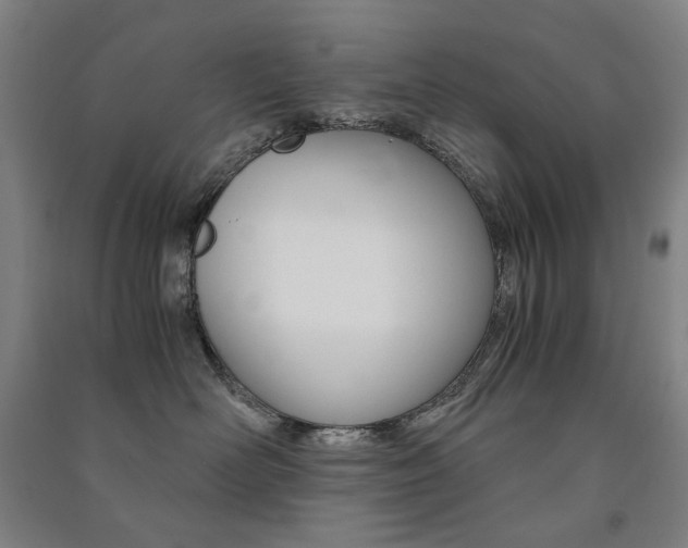X0000091500526200708161236