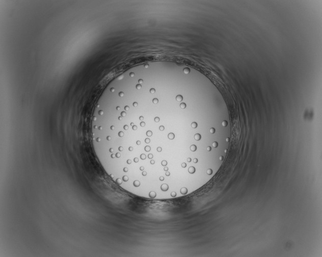 X0000091500527200708161236