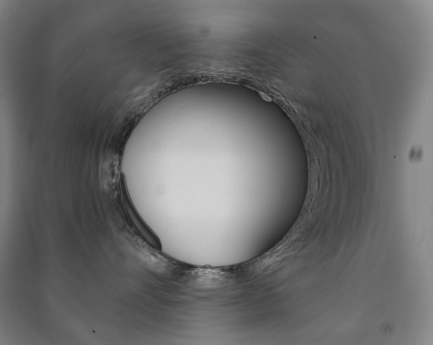 X0000091500528200708161236