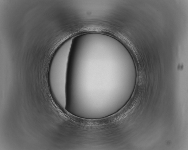 X0000091500529200708161236