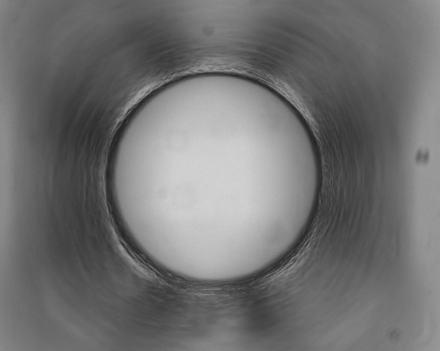 X0000091500530200708161236