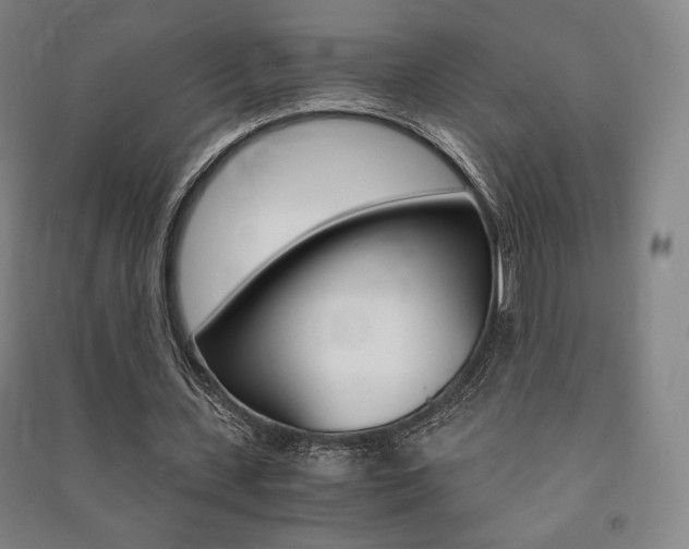 X0000091500531200708161236