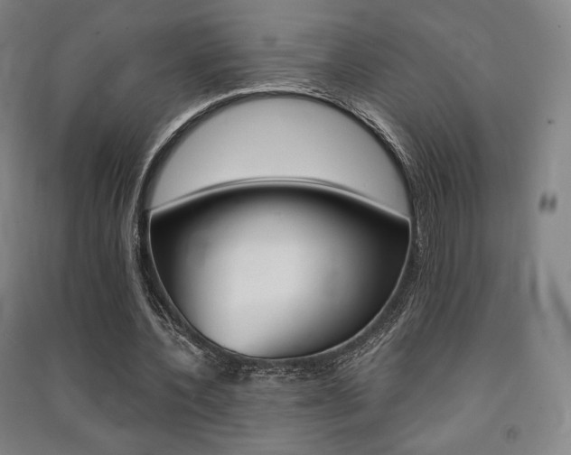 X0000091500532200708161236