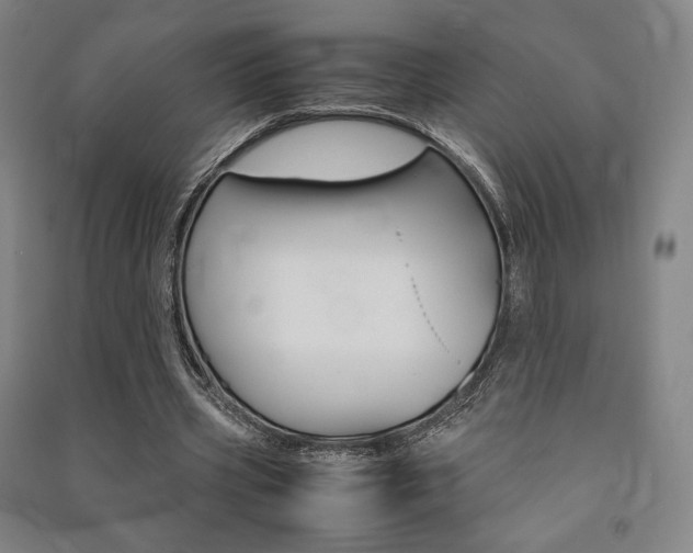 X0000091500533200708161236