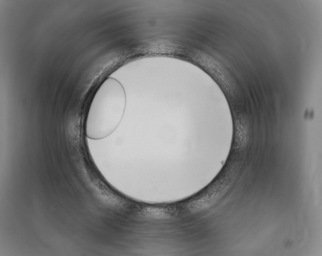 X0000091500534200708161236