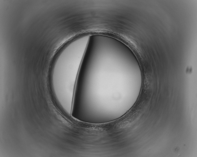 X0000091500535200708161236
