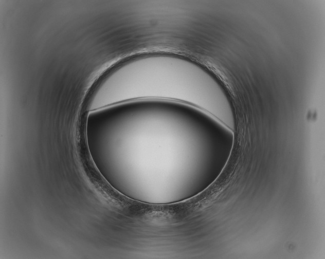 X0000091500536200708161236