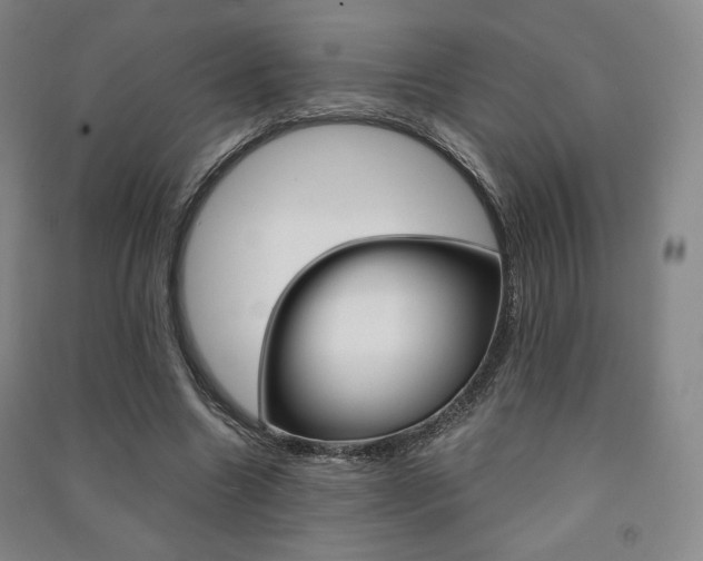 X0000091500538200708161236