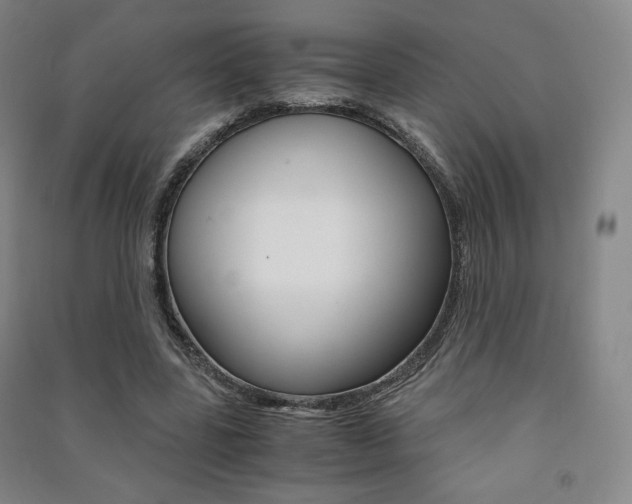 X0000091500539200708161236