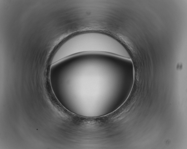 X0000091500540200708161236