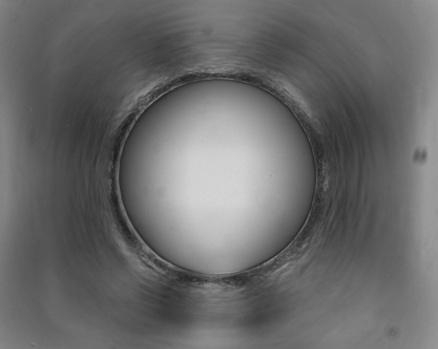 X0000091500542200708161236