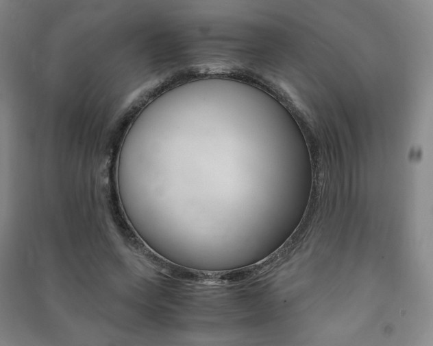 X0000091500543200708161236