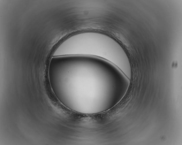 X0000091500544200708161236