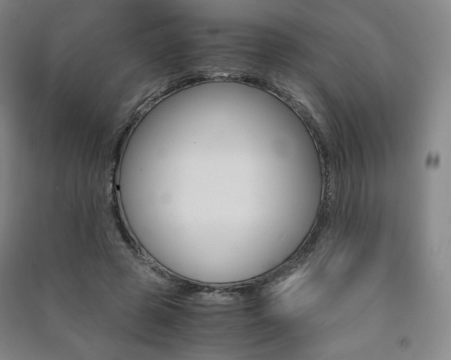 X0000091500545200708161236