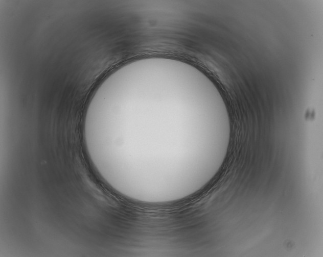 X0000091500546200708161236