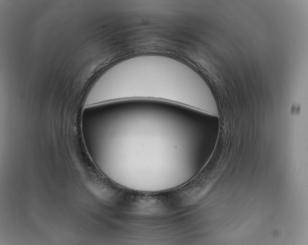 X0000091500547200708161236