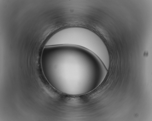 X0000091500548200708161236