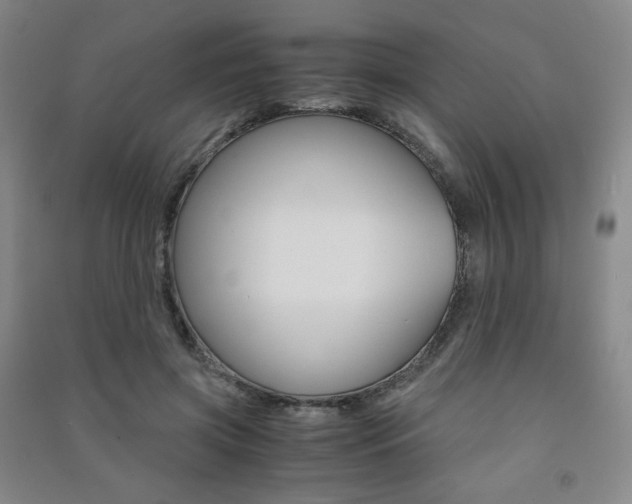 X0000091500549200708161236