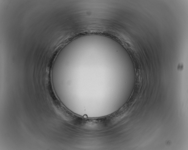 X0000091500550200708161236