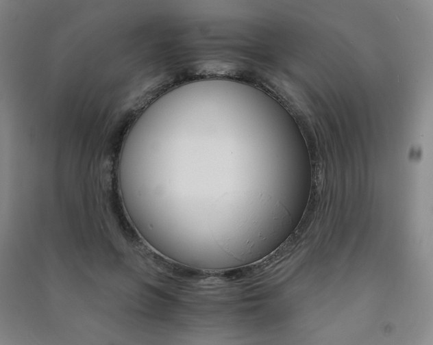 X0000091500551200708161236