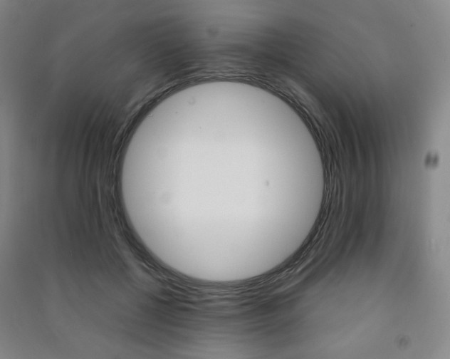 X0000091500552200708161236