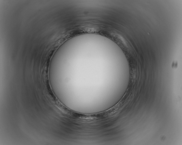 X0000091500553200708161236