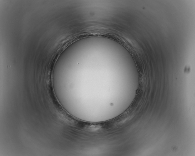 X0000091500554200708161236