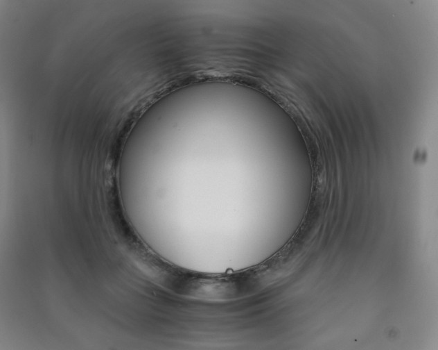 X0000091500555200708161236