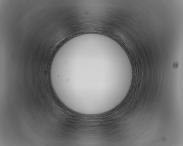 X0000091500556200708161236