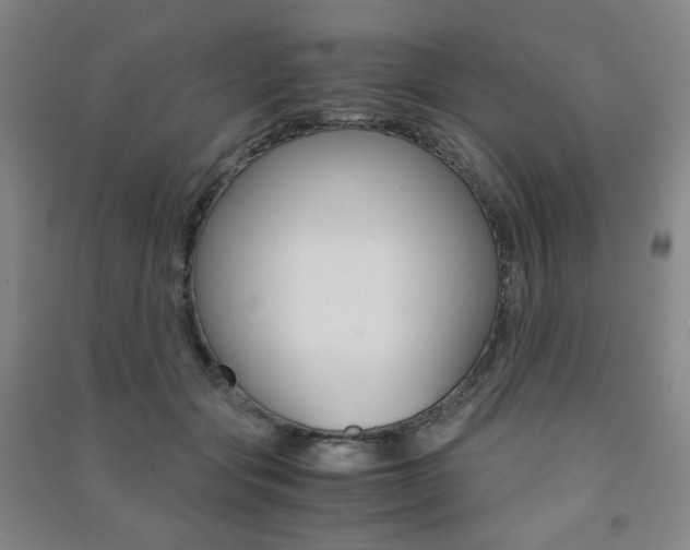 X0000091500557200708161236