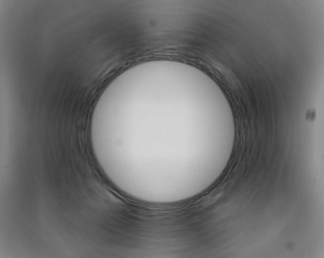 X0000091500558200708161236