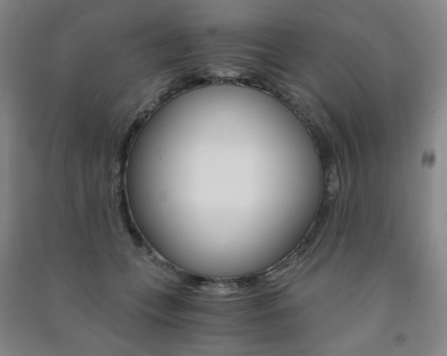 X0000091500559200708161236