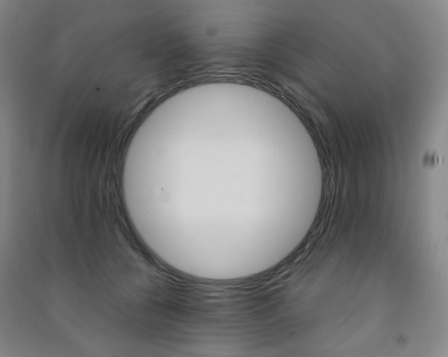 X0000091500560200708161236