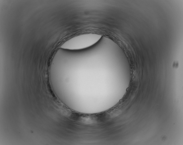 X0000091500561200708161236