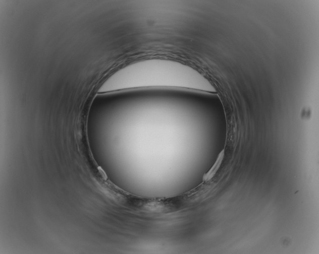 X0000091500562200708161236