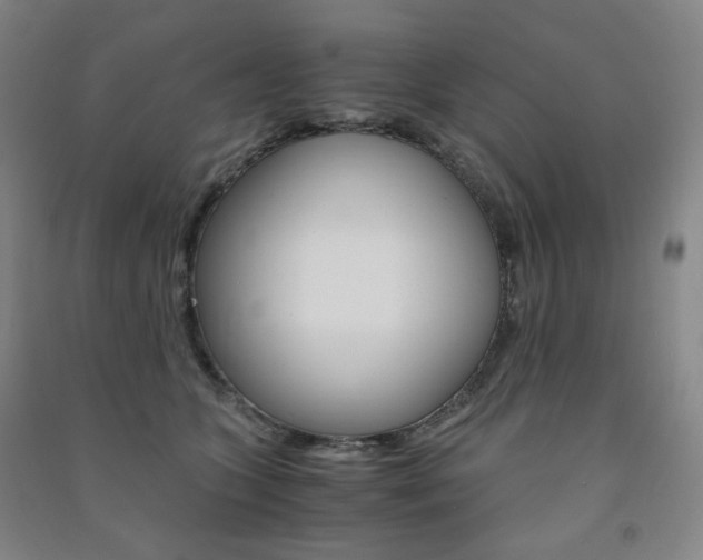 X0000091500563200708161236