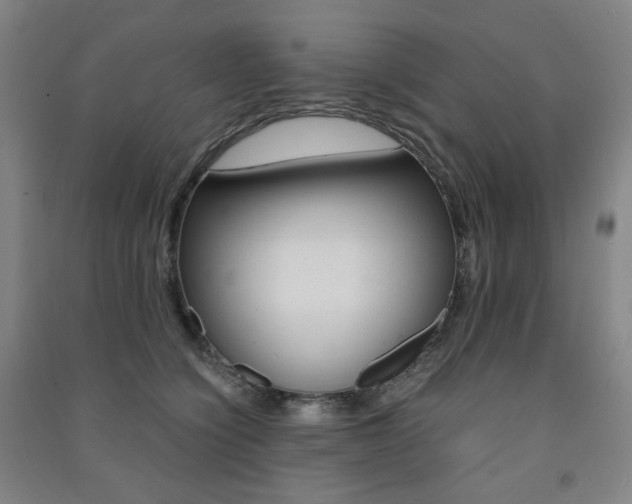 X0000091500564200708161236
