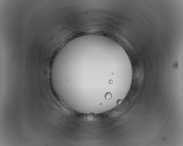 X0000091500565200708161236