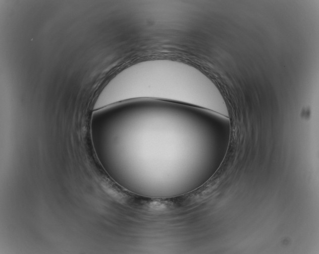 X0000091500566200708161236